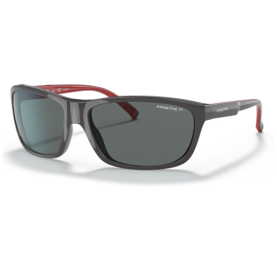 Gafas de sol Arnette AN4263 275381 EL CARMEN
